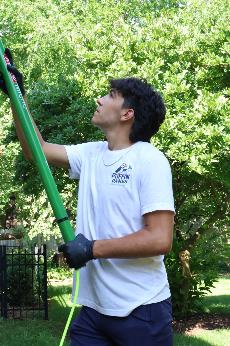 Puffin Panes team member cleaning windows